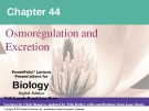 Lecture Biology: Chapter 44 - Niel Campbell, Jane Reece