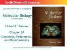 Lecture Molecular biology: Chapter 24 - Robert F. Weaver