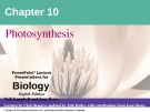 Lecture Biology: Chapter 10 - Niel Campbell, Jane Reece
