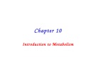 Lecture Principles of biochemistry - Chapter 10: Introduction to metabolism