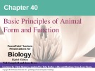 Lecture Biology: Chapter 40 - Niel Campbell, Jane Reece