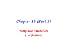 Lecture Principles of biochemistry - Chapter 16 (part 2): Fatty acid catabolism (β-oxidation)