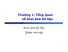 Bài giảng Khai phá dữ liệu - Chương 1: Tổng quan về khai phá dữ liệu