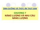 Bài giảng Dinh dưỡng và thức ăn thủy sản: Chương 7 - TS. Ngô Hữu Toàn