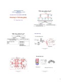 Bài giảng Chi tiết máy: Chương 2 - TS. Phạm Minh Hải