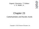 Lecture Organic chemistry: Chapter 23 - L. G. Wade, Jr.