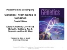 Lecture Genetics: From genes to genomes - Chapter 14: Prokaryotic and organelle genetics