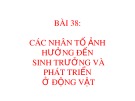 Bài giảng Bài 38: Các nhân tố ảnh hưởng đến sinh trưởng và phát triển ở động vật