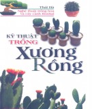 Mô hình trồng xương rồng: Phần 2