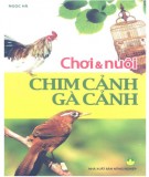 Nghệ thuật Chơi và nuôi chim cảnh, gà cảnh: Phần 1