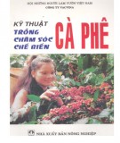 Hướng dẫn trồng, chăm sóc, chế biến cà phê: Phần 1