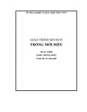 Giáo trình mô đun Trồng mới Điều - MDD02: Nghề trồng điều