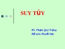 Bài giảng Suy tủy - BS. Phạm Quý Trọng