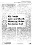 Kỹ thuật nuôi cá Chình thương phẩm trong ao đất - Thu Lành