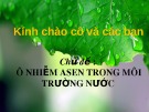 Bài thuyết trình: Ô nhiễm Asen trong môi trường nước