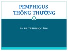 Bài giảng Pemphigus thông thường - TS. BS. Trần Ngọc Ánh