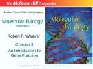 Lecture Molecular biology (Fifth Edition): Chapter 3 - Robert F. Weaver