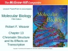 Lecture Molecular biology (Fifth Edition): Chapter 13 - Robert F. Weaver