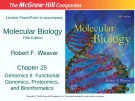 Lecture Molecular biology (Fifth Edition): Chapter 25 - Robert F. Weaver