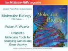 Lecture Molecular biology (Fifth Edition): Chapter 5 - Robert F. Weaver