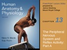 Lecture Human anatomy and physiology - Chapter 13: The peripheral nervous system and reflex activity (part a)