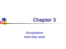 Lecture Environmental science - Chapter 3: Ecosystems: How they work