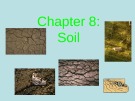 Lecture Environmental science - Chapter 8: Soil