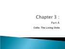 Lecture Human anatomy and physiology - Chapter 3: Cells (part a)