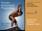 Lecture Human anatomy and physiology - Chapter 6: Bones and skeletal tissues (part a)