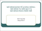 Bài giảng Mô hình kinh tế lượng động: Mô hình tự hồi quy và mô hình phân phối trễ - Đinh Công Khải