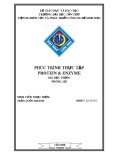 Phúc trình thực tập Protein và Enzyme