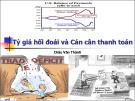 Bài giảng Tỷ giá hối đoái và Cán cân thanh toán - Châu Văn Thành