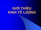 Bài giảng Giới thiệu về kinh tế lượng - Cao Hào Thi