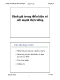 Bài giảng 19: Định giá trong điều kiện có sức mạnh thị trường (2011) - Đặng Văn Thanh