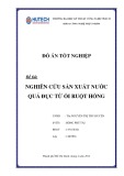 Đồ án tốt nghiệp: Nghiên cứu sản xuất nước quả đục từ ổi ruột hồng