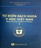 Khám phá từ điển bách khoa y học Việt Nam