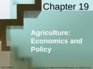 Lecture Economics (18th edition): Chapter 19 - McConnell, Brue, Flynn's