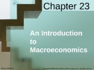 Lecture Economics (18th edition): Chapter 23 - McConnell, Brue, Flynn's