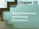Lecture Economics (18th edition): Chapter 15 - McConnell, Brue, Flynn's