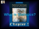 Lecture Statistical techniques in business and economics - Chapter 1: What is statistics?