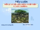 Tiểu luận: Mối quan hệ giữa rừng ngập mặn và môi trường