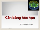 Bài giảng Cân bằng hóa học – ThS. Ngô Gia Lương