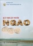 Hướng dẫn kỹ thuật nuôi ngao