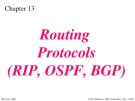 Lecture TCP-IP protocol suite - Chapter 13: Stream control transmission protocol