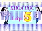 Tuần 26 - Khoa học 5 - Sự sinh sản của Thực vật có hoa