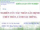 Khóa luận tốt nghiệp: Nghiên cứu tác nhân gây bệnh chết thân, cành sầu riêng