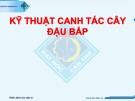 Báo cáo Kỹ thuật canh tác cây đậu bắp