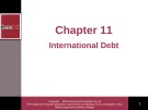 Lecture Financial institutions, instruments and markets (4/e): Chapter 11 - Christopher Viney
