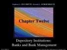 Lecture Money, banking, and financial markets (3/e): Chapter 12 - Stephen G. Cecchetti, Kermit L. Schoenholtz