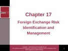 Lecture Financial institutions, instruments and markets (4/e): Chapter 17 - Christopher Viney